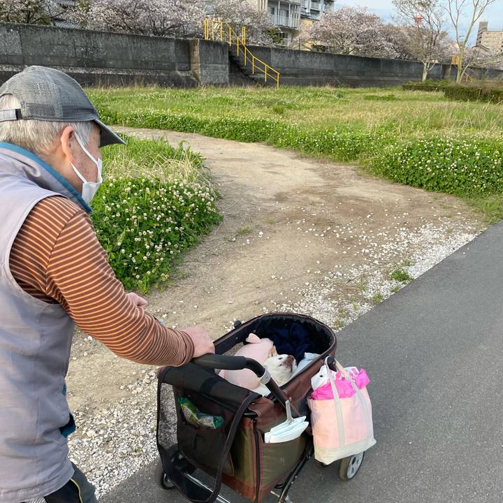 66b0b6cf 9791 4b2b 8b30 2e127a89f371 1680605450050