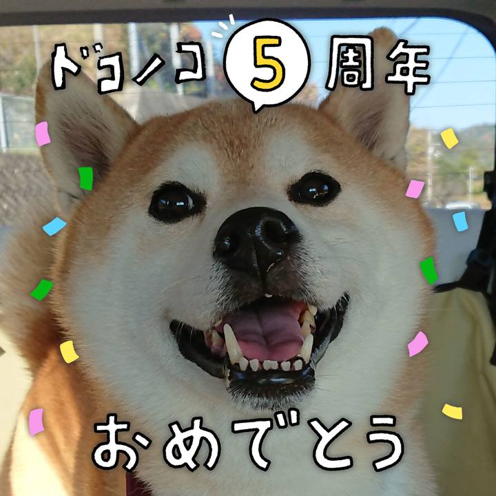 66b0e430 c555 4142 a15d bf614b621713 1622855308972