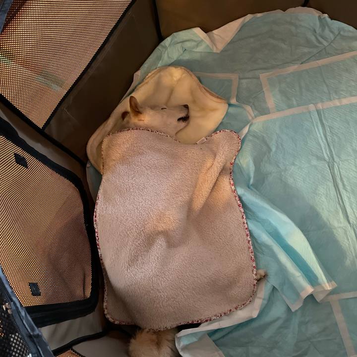 66b0ec98 8b38 4665 aff9 c19bde38add8 1645270708853