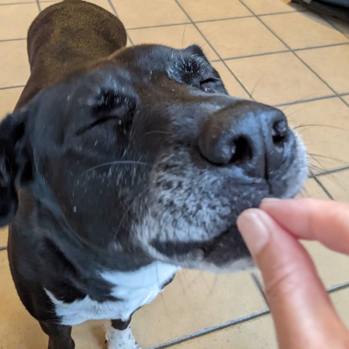 66b0ef09 c312 4999 a7ae dd9536571cc6 1688729142481