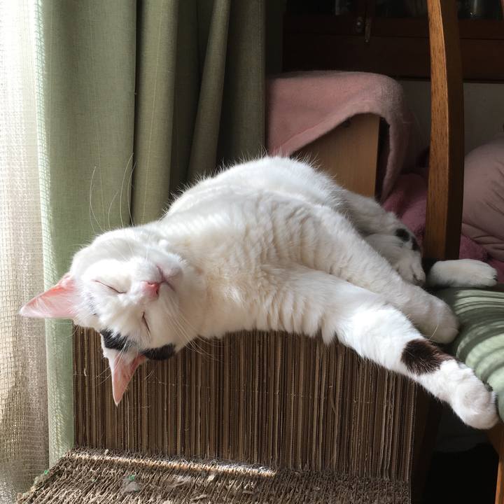 66b0fbe5 f0b5 4eba a813 01608506442b 1614569928253