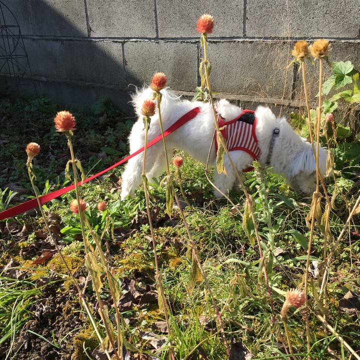 66b0fe19 7f6b 461c 85a5 45fc8884652e 1576118918243