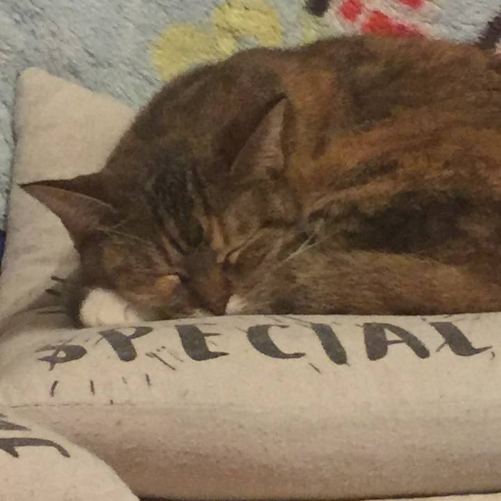 66b0ff56 1df4 4f89 a491 dab15da79276 1572347059686