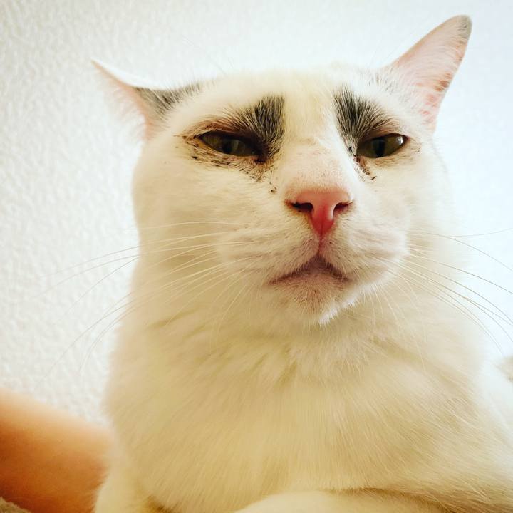 66b1050e d4f6 4509 848c 55411146a2cb 1574315539874