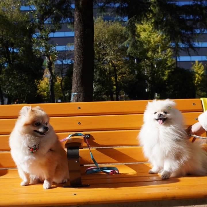 66b1428e dd50 4892 86d9 4f4fdfb2ead5 1606546348404