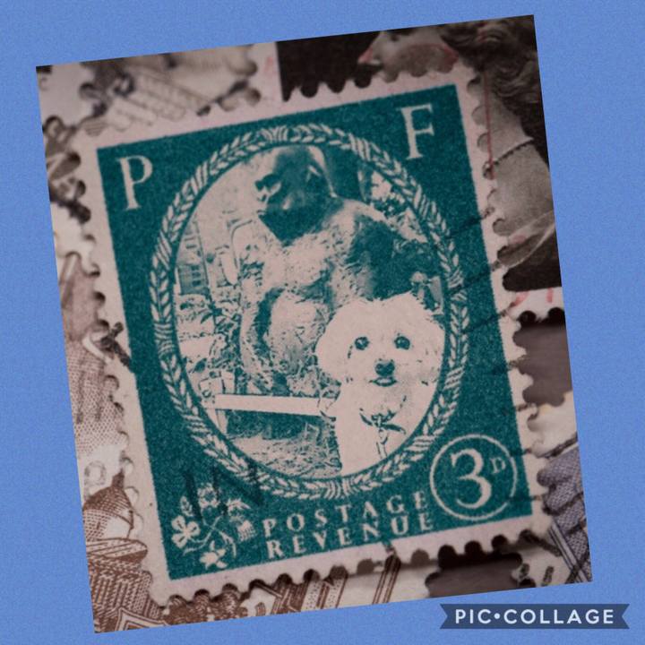 66b18866 03bd 4093 a38d e73f5379edc5 1569935309810