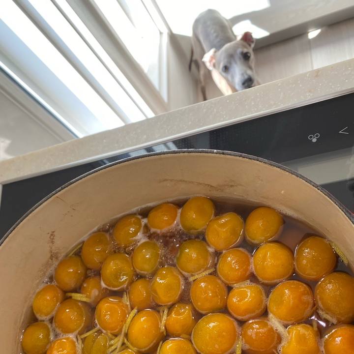 66b1ba52 d7ba 429a ae6e e2245a30edf5 1769222187977