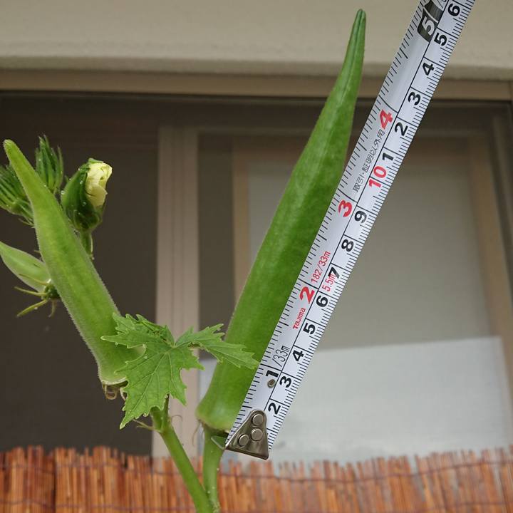 66b1c414 da75 4e97 90ff bd08f759303d 1539478241351