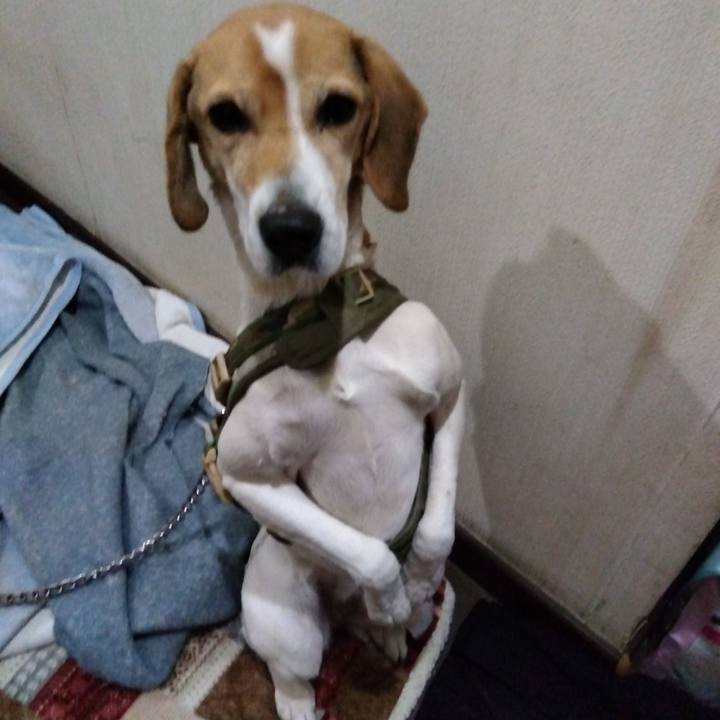 66b1f213 951b 4262 8cbd 5cb0259e7f44 1676542009554