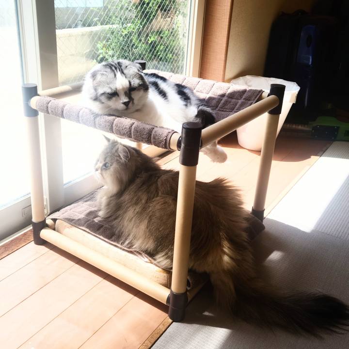 66b211cf d420 49d4 9e60 3fb3933dc42c 1715920210690