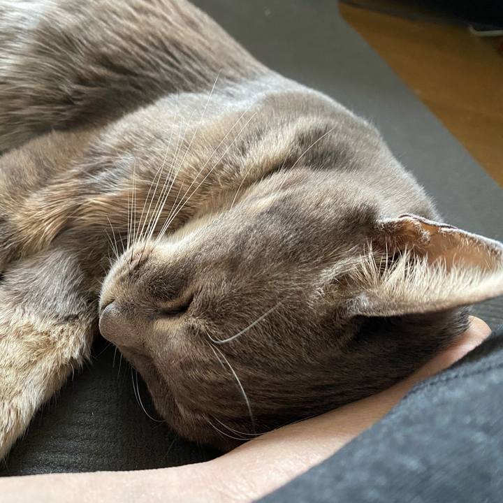 66b235f5 7336 480d 9565 27dd367c035b 1638848663391