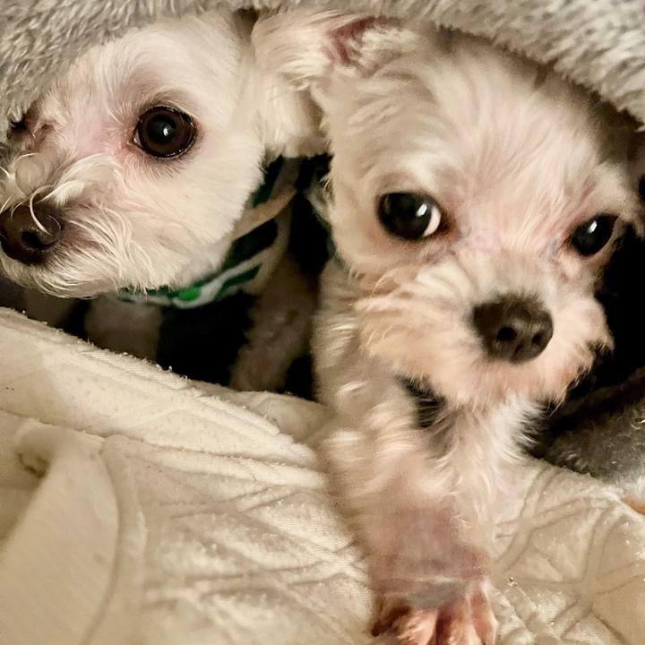 66b24bbe dad3 44b7 b02c 8f261d22eef0 1668064136913