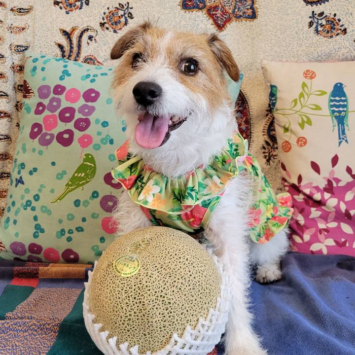 66b24ee4 482d 4271 9660 d5b37400c074 1687650410817