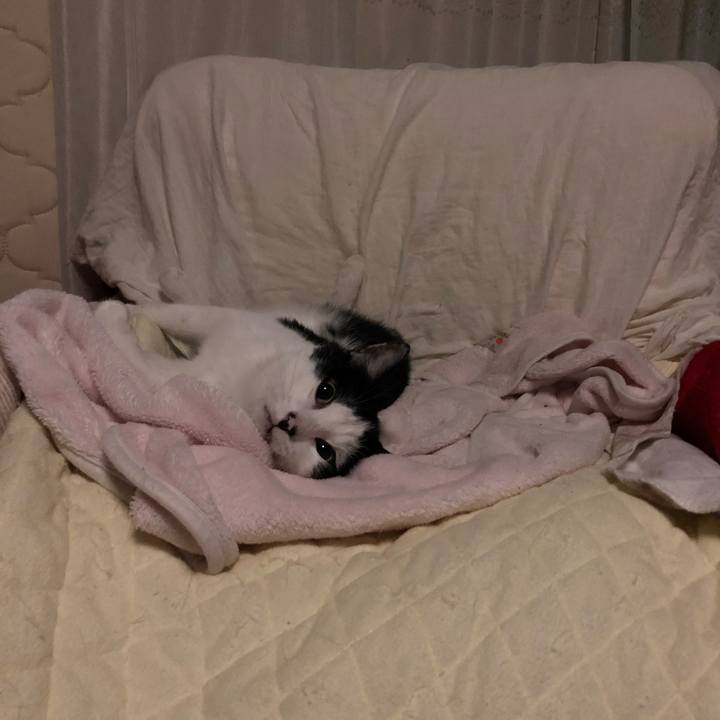 66b24f89 1ff0 42bb abda 0d8ca6c7547b 1604322472527