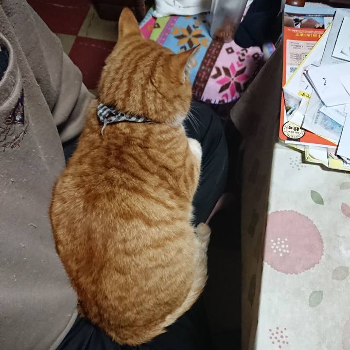 66b26402 e81f 459f b760 9779c6c263d8 1574625840022