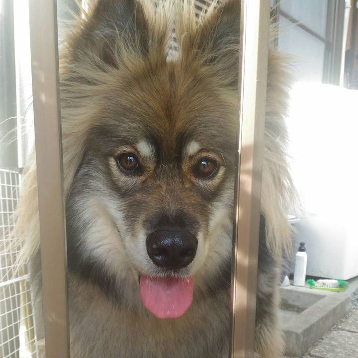 66b288c8 cbda 41f9 a77c f50139aaa530 1530683467825