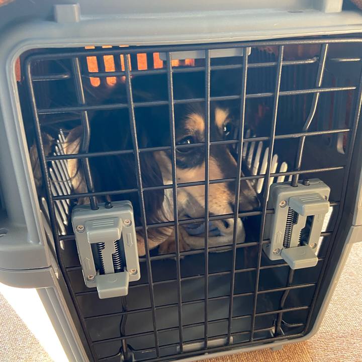 66b2a079 4587 4502 b5c5 b9b698cfac28 1739337733816