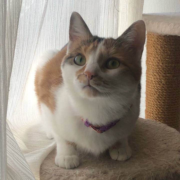 66b2aad7 f6a7 4553 94c4 cf45bcab4a49 1604450737715