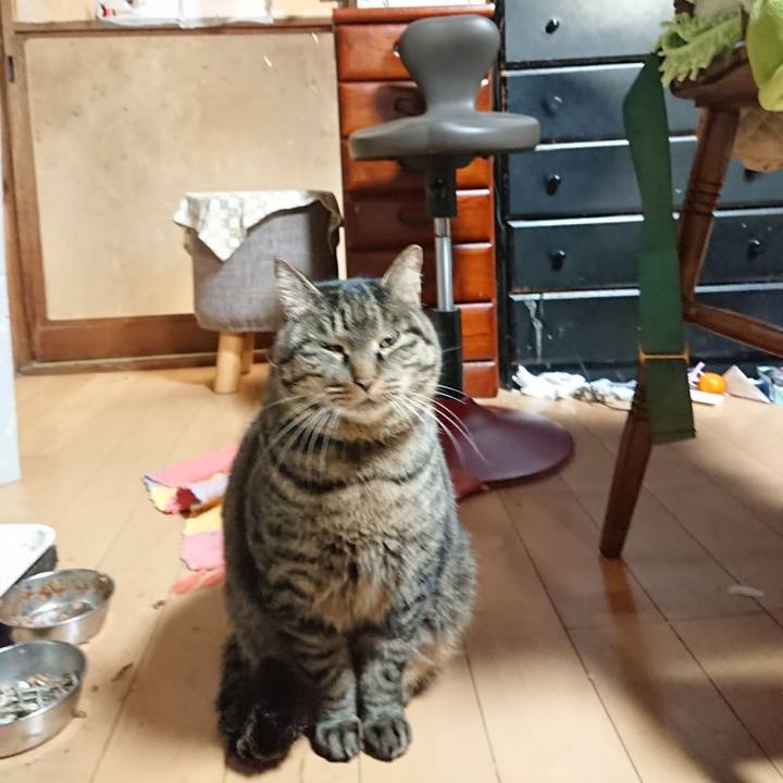 66b2fcee b06a 4f88 89fa feba71e2eff6 1640682268743