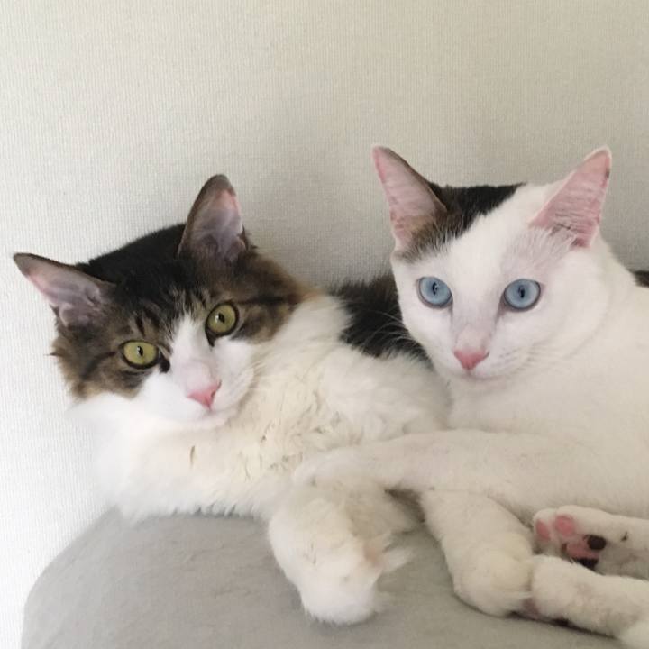 66b30024 26b5 472b a7ca 3bc4cd5cd8bd 1535673621922