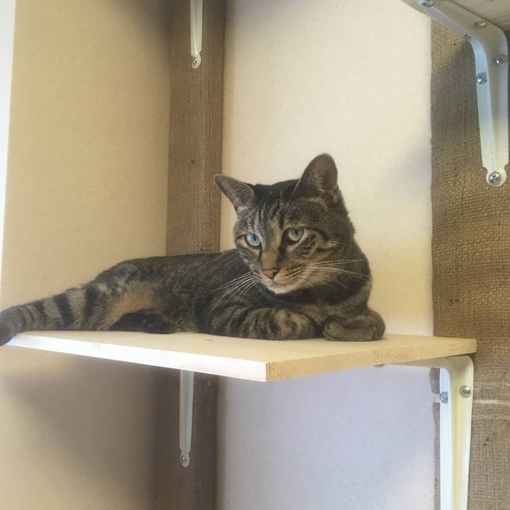 66b31701 69e4 464a a899 119d55c7fa55 1535595473125