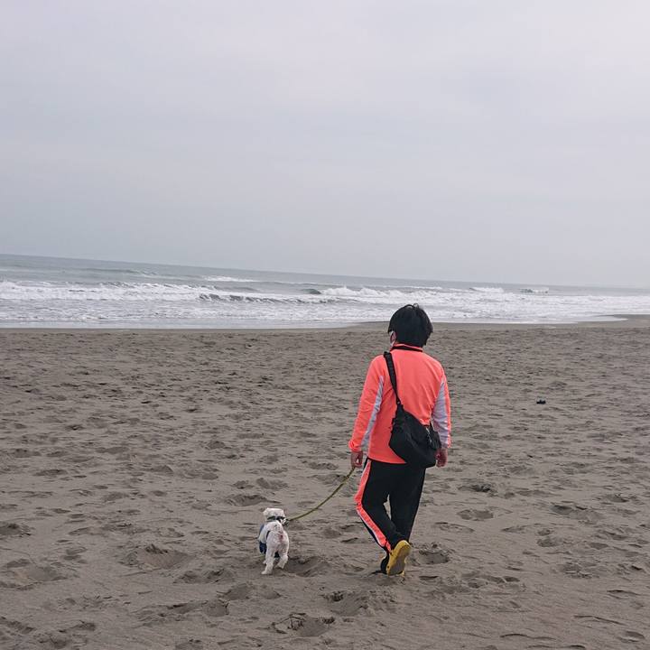 66b32ccd ccca 4aa4 b353 2728358d0a62 1607856752166