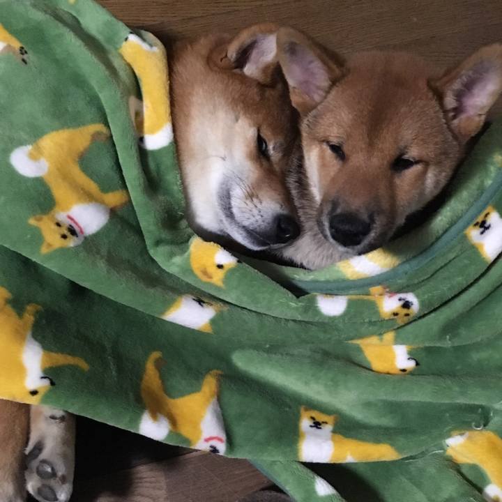 66b3386f fa73 4530 ab87 cd7459dbdebe 1540050090951