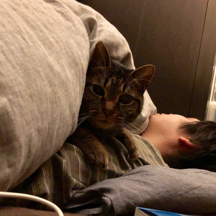 66b36227 82a5 4f35 93a6 5929ee3623ea 1552195235706