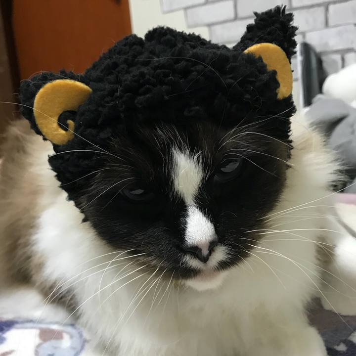 66b38231 6bae 431d 80e9 a5ecfa3af1b8 1517752661554