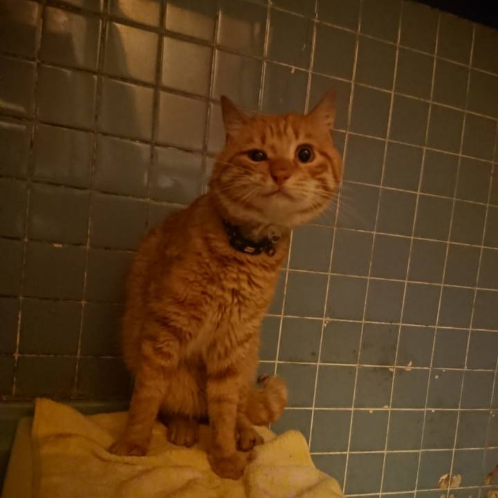 66b3b127 8d8c 4b39 84ee fc05c998e801 1655726497623