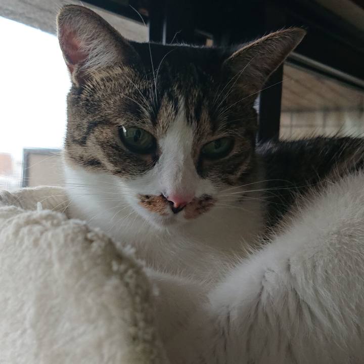 66b3cc86 420b 4ea2 8813 0aab79822b44 1600301217969