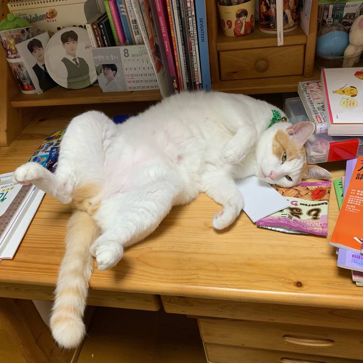 66b4088c cb72 4290 8dec 90194681cbad 1564784684613