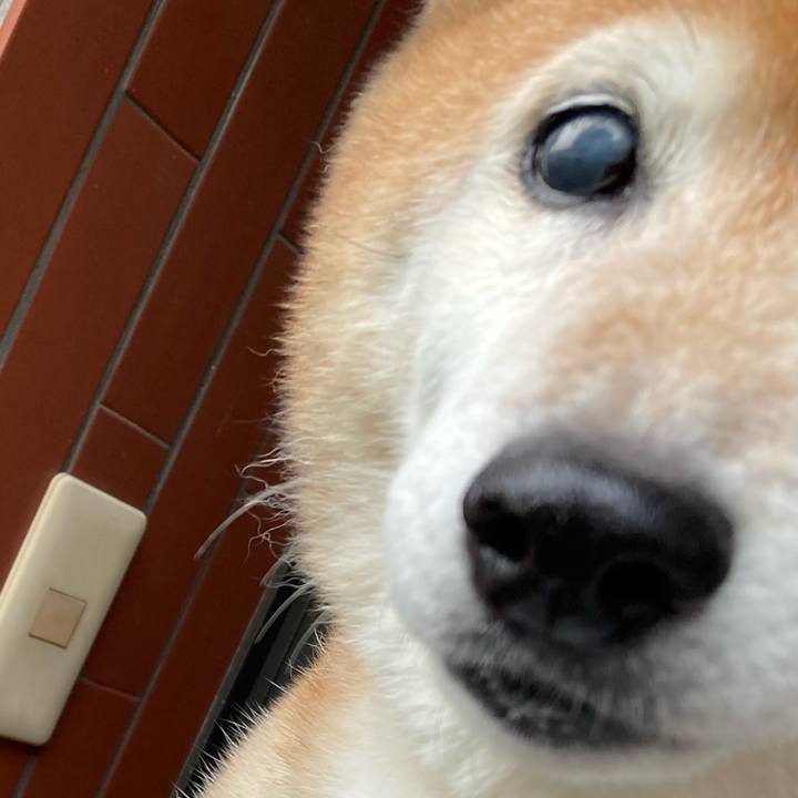 66b4a9bb bffd 468a b335 f59dd0e4082c 1720251783406