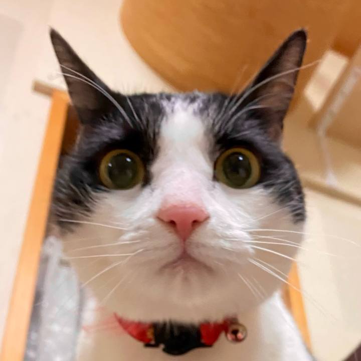 66b51e10 fead 4bb0 b8ee 5a903be56efb 1711928345560