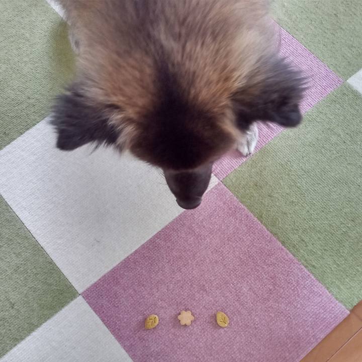 66b57b14 ad0a 4cf3 835b 8b0c6f8b833d 1762650993335