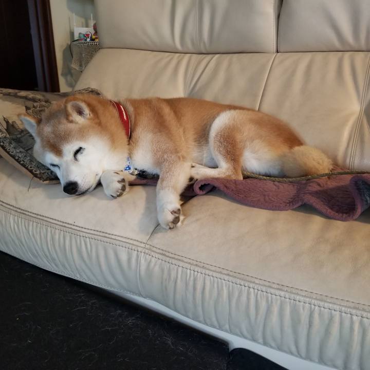 66b57c4d 1681 4bb9 af37 1310e1c2aa58 1728346731785