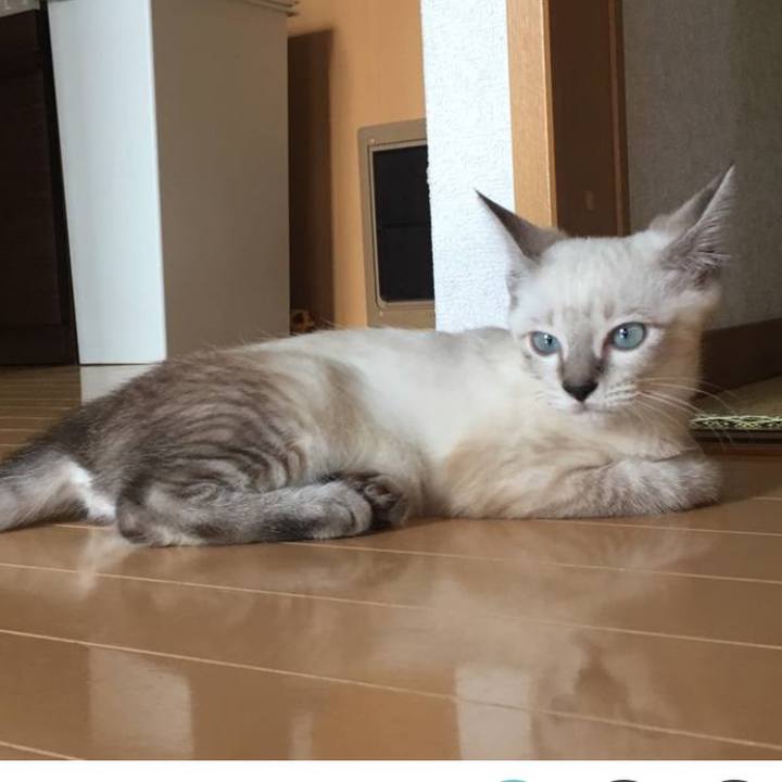 66b59f99 e446 49eb 8b6a 1dfa0e521529 1660527631107