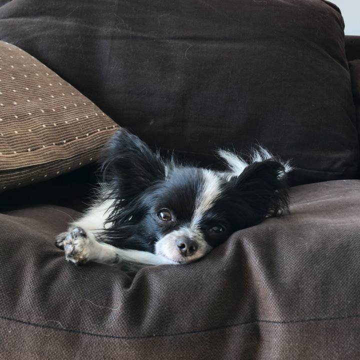 66b5aee1 e350 4ec3 947d 8ca53e13483d 1509872226510