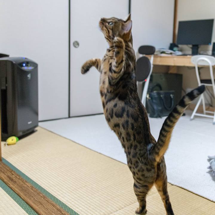 66b5eaa1 e714 4b98 aacd 286d0d27e671 1517762955867