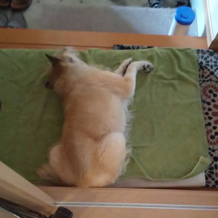 66b61606 caea 4cef 94b1 1528ce7dcc26 1599704611799