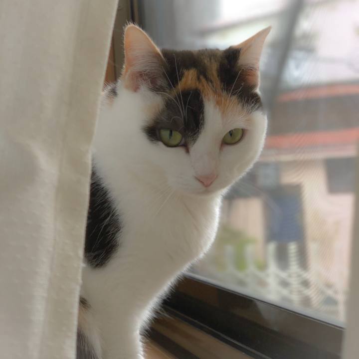 66b63f4a 0373 4bcf 95be 687e4c553bb9 1557886555145