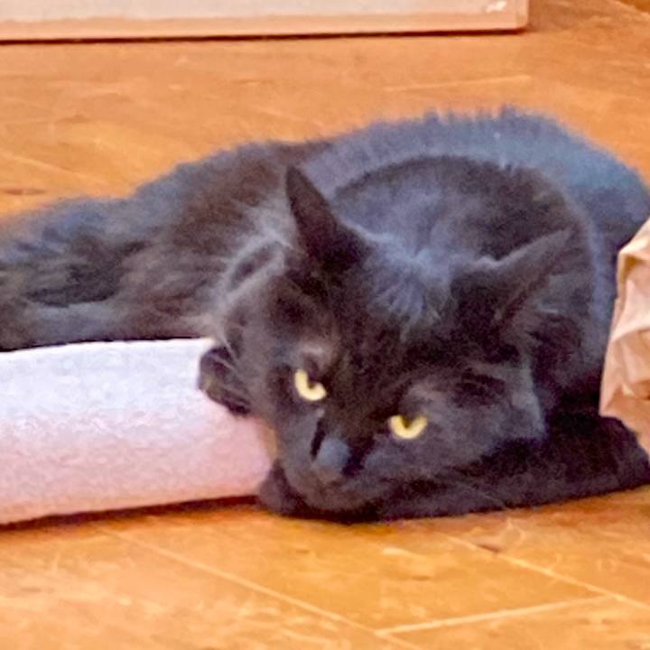 66b65be3 de8f 4285 9ff1 26444bd9f0be 1726662080720