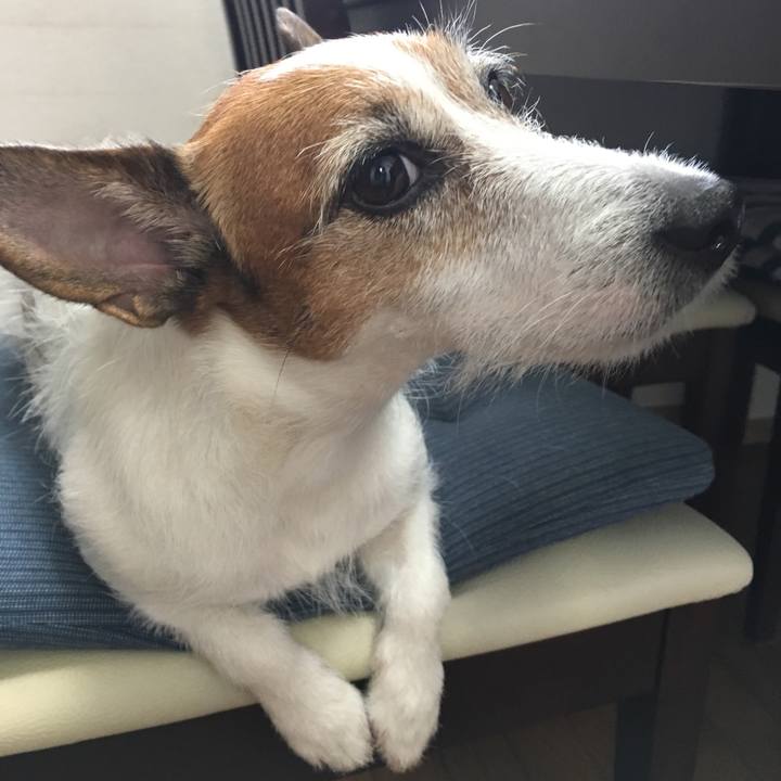 66b6b2ea e36a 4008 8d8d b46fe1440a99 1566443920204