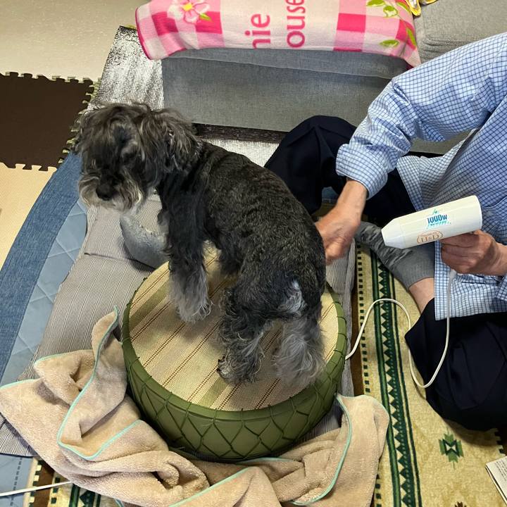 66b6bc4a 3edc 46c5 bd64 37788657a855 1715411869459