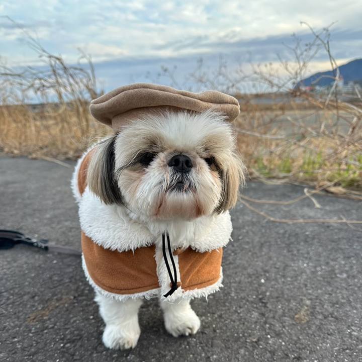 66b70392 d3b4 479a b9a0 47f6ef47cc40 1771585725140