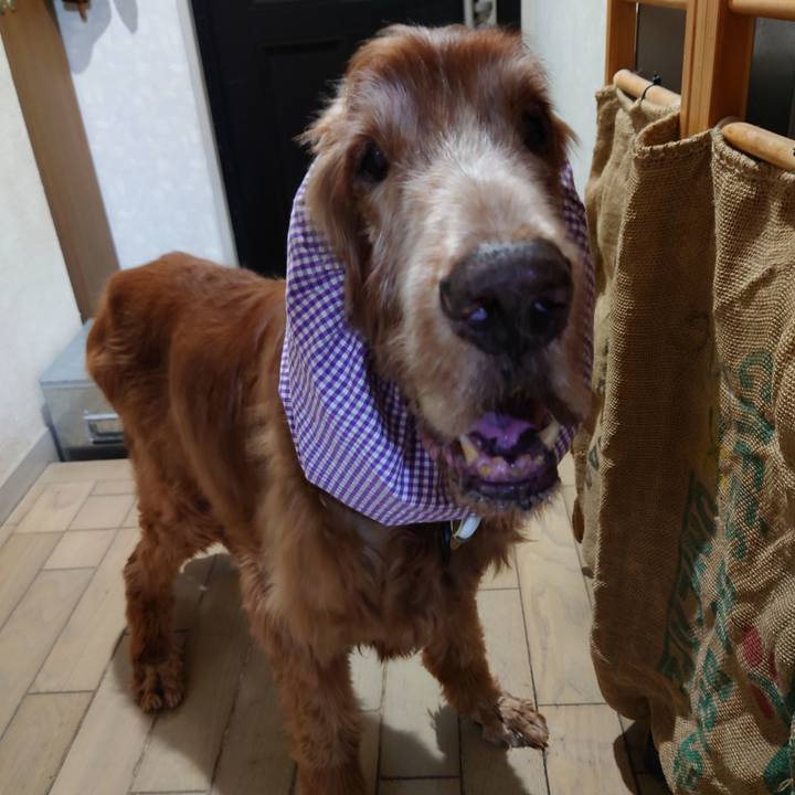 66b70dca d2a8 49e6 b1e0 79258991ccca 1721872747288