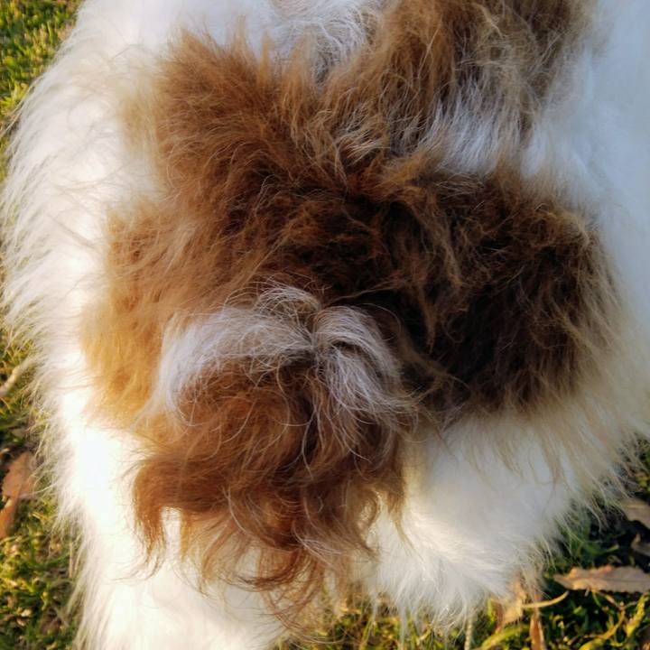 66b73cdd 4e77 4b6c ad1e ab7d8168335e 1551180889369