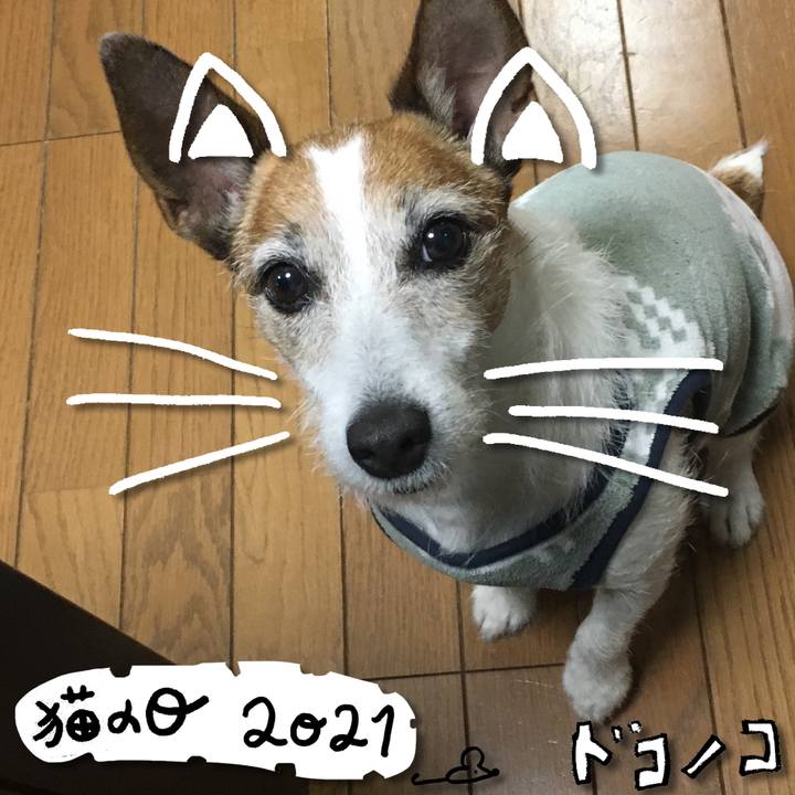 66b793f3 d03b 434a b091 990a44e7fe1b 1613964623313