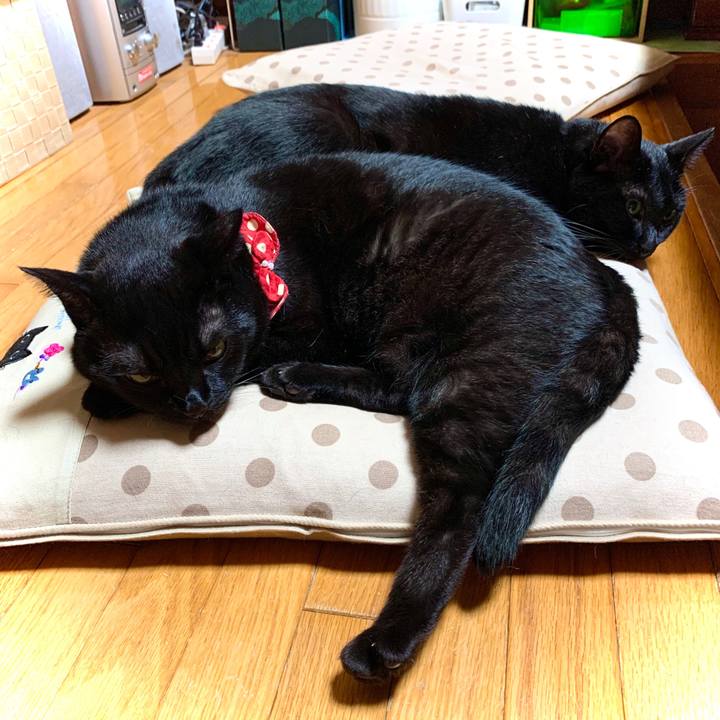 66b7c6bc 5f69 4bd0 bda0 bb71dd25876c 1572010779851