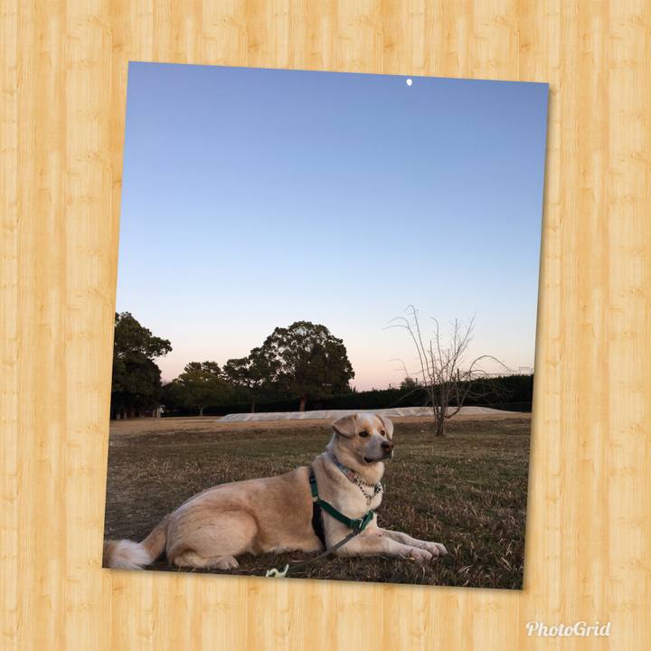 66b7e2f3 8108 4aba b64a 6b7b324a2909 1514535793228